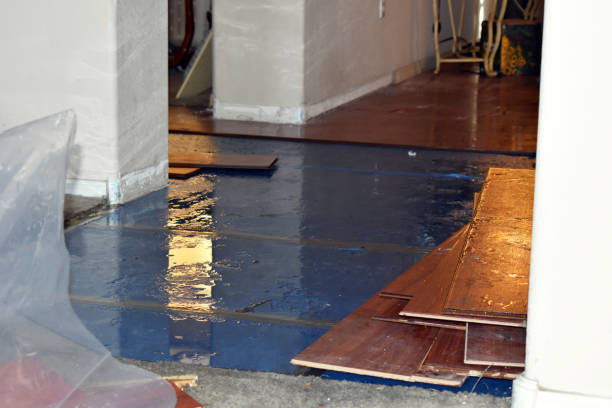 Professional Burst Pipe Cleanup technician working in Gibson, AR